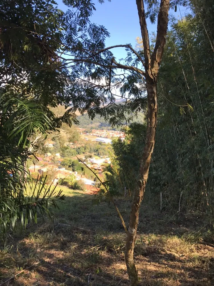 Chácara, 2 quartos, 33 m² - Foto 4