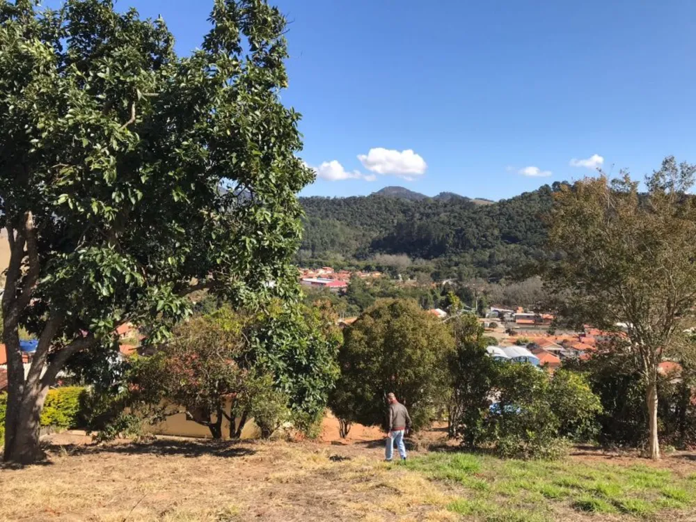 Chácara, 2 quartos, 33 m² - Foto 3