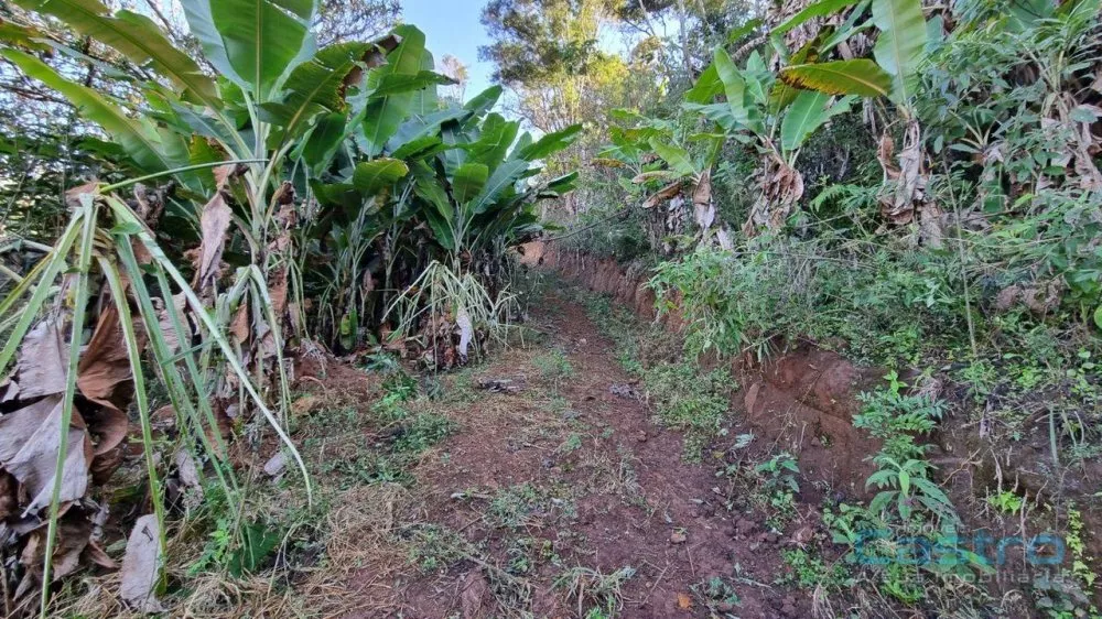 Sítio, 25 m² - Foto 1