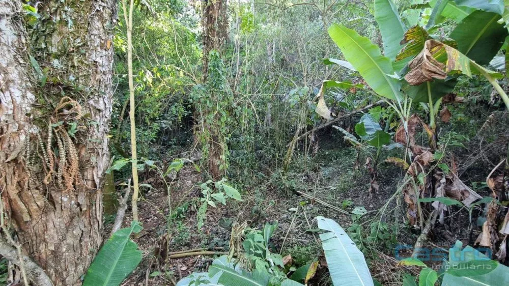 Sítio, 25 m² - Foto 2