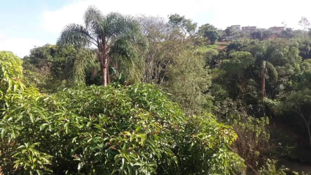 Chácara, 3 quartos, 1520 m² - Foto 10