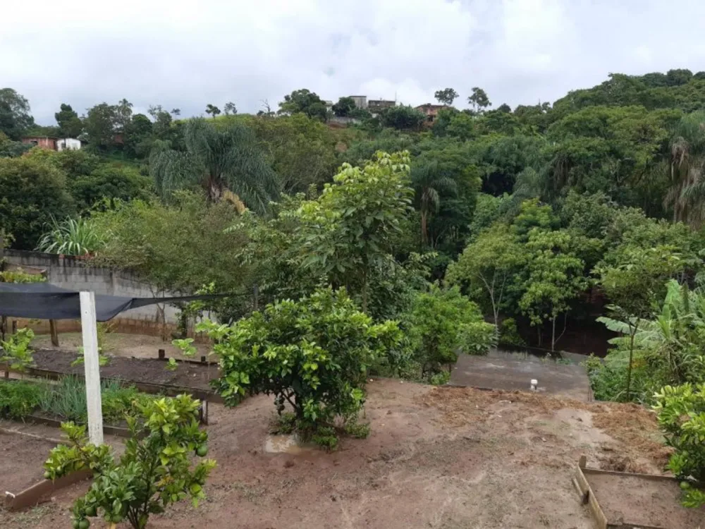 Chácara, 3 quartos, 1520 m² - Foto 14