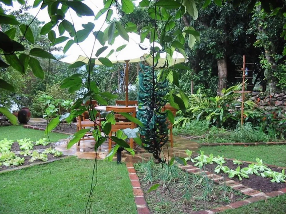 Casa, 4 quartos, 400 m² - Foto 8