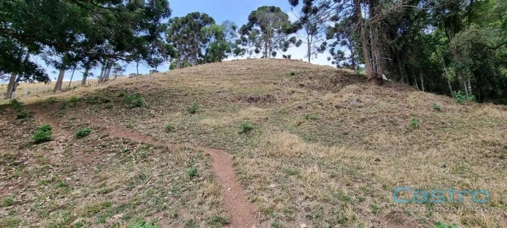 Sítio, 32 m² - Foto 3