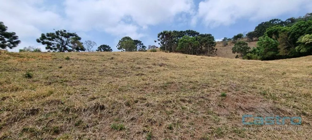 Sítio, 32 m² - Foto 2