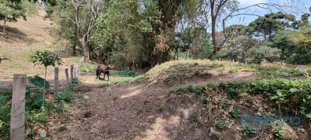 Sítio, 32 m² - Foto 4