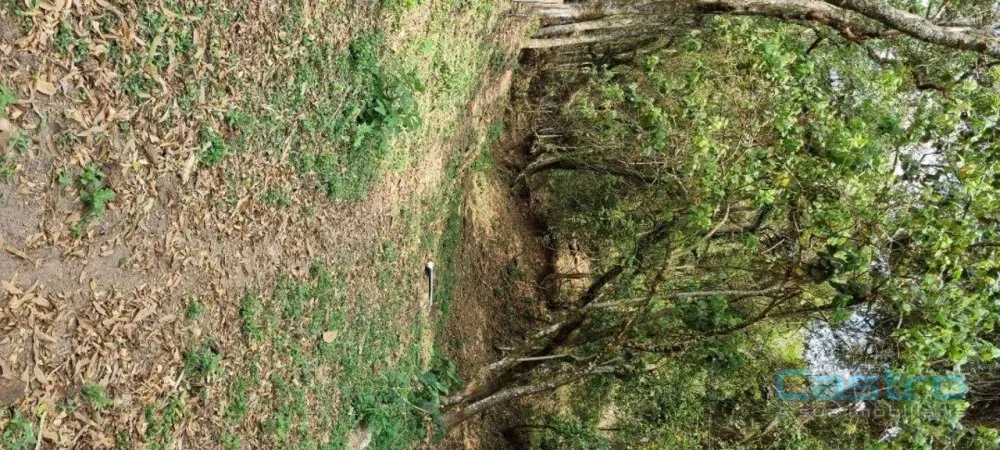 Sítio, 32 m² - Foto 11