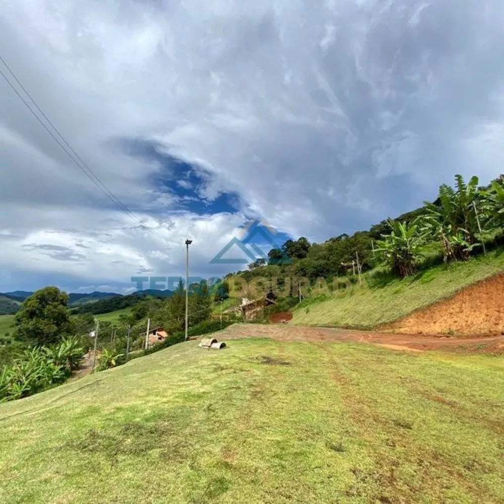 Chácara, 2 quartos, 6000 m² - Foto 3