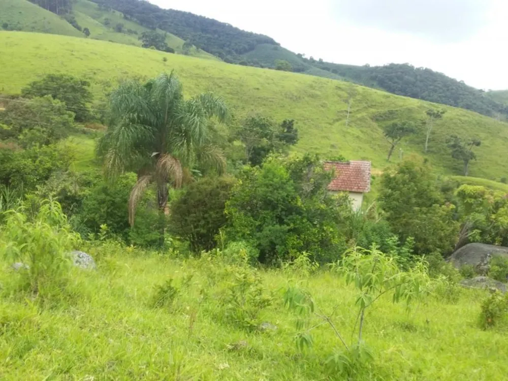 Terreno, 2 hectares - Foto 7