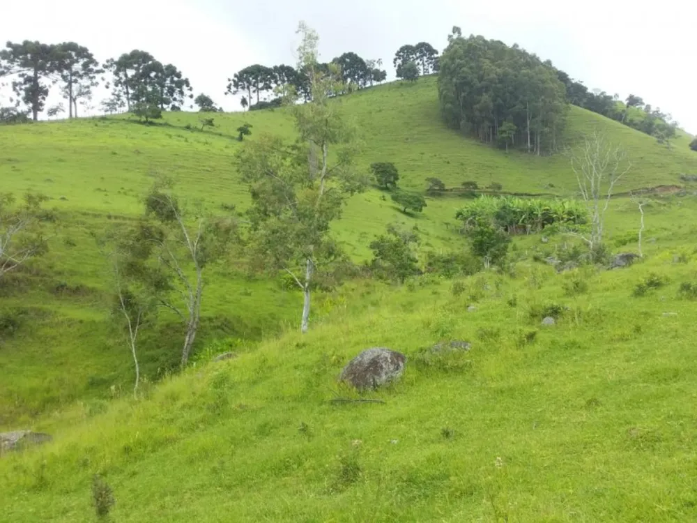 Terreno, 2 hectares - Foto 6