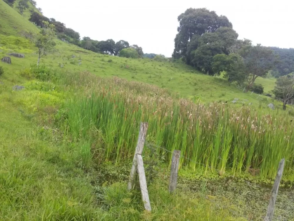 Terreno, 2 hectares - Foto 4