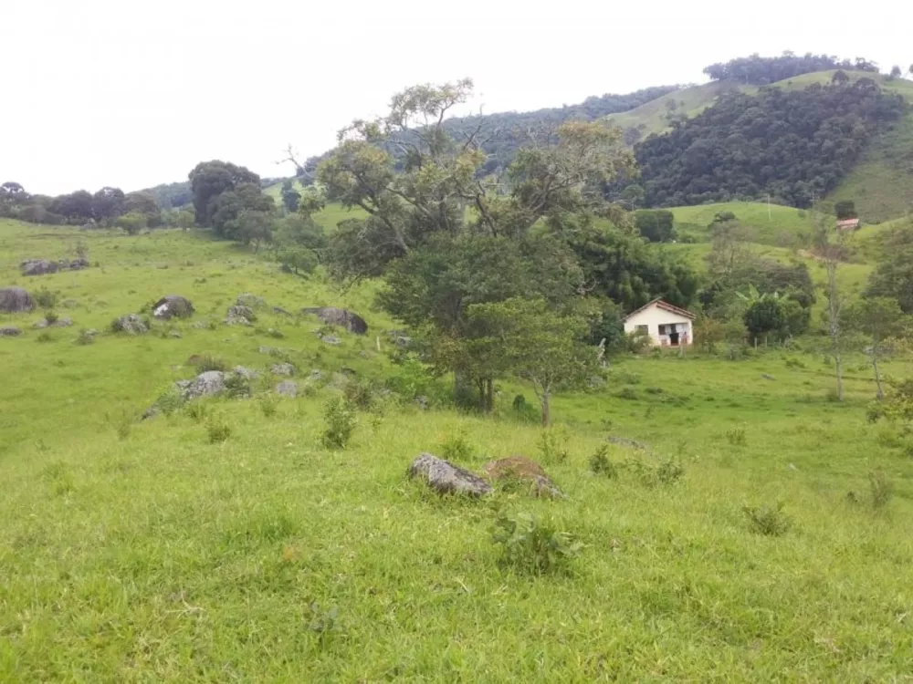 Terreno, 2 hectares - Foto 3