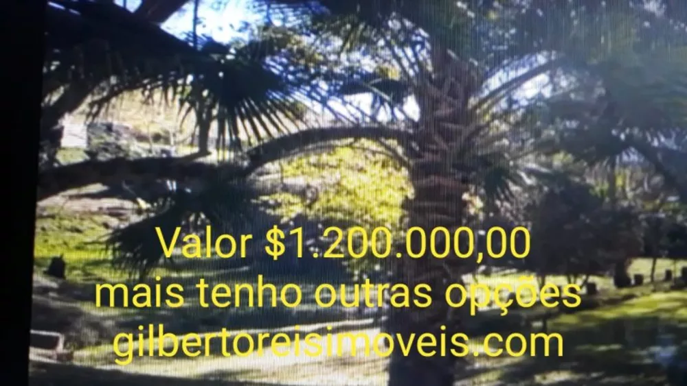 Sítio, 4 quartos, 6 hectares - Foto 4