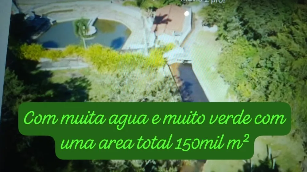 Sítio, 15 hectares - Foto 6