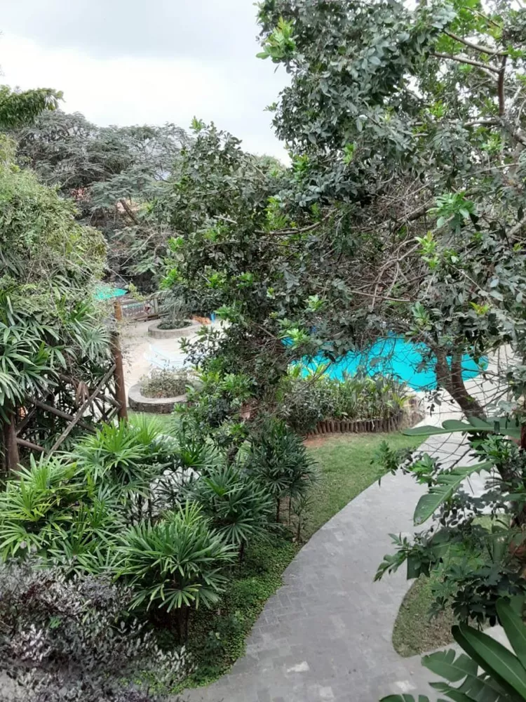 Casa, 23 quartos, 120 m² - Foto 4