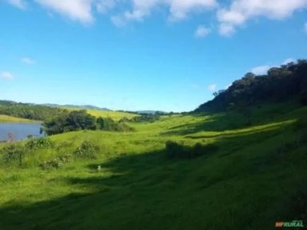 Fazenda, 36 hectares - Foto 3