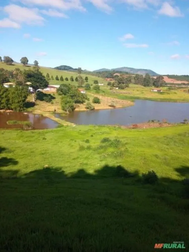Fazenda, 36 hectares - Foto 4