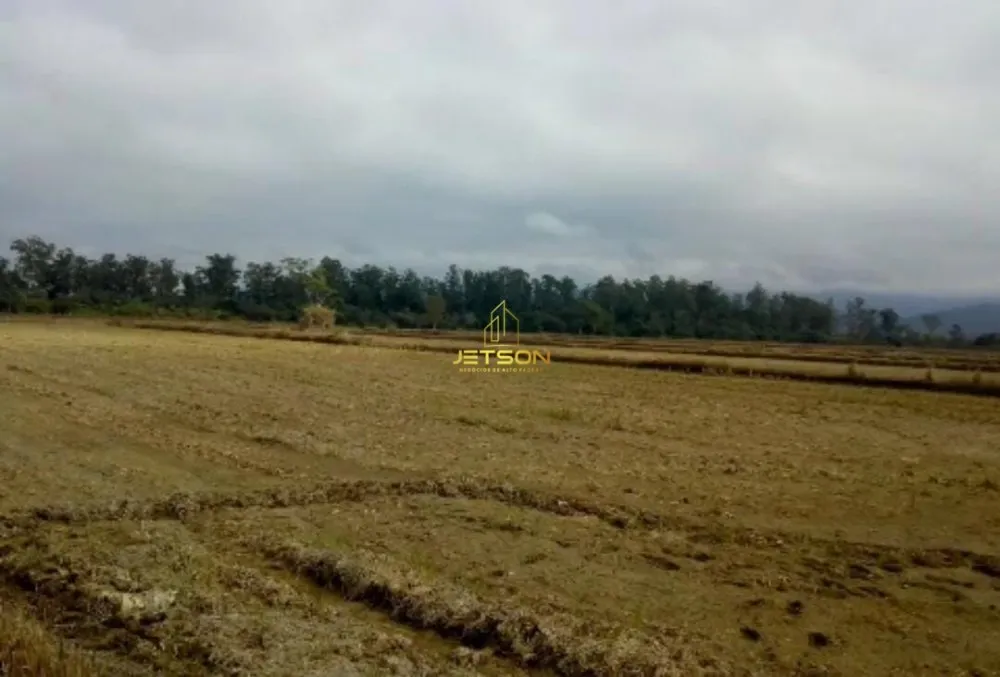 Sítio, 36 hectares - Foto 1