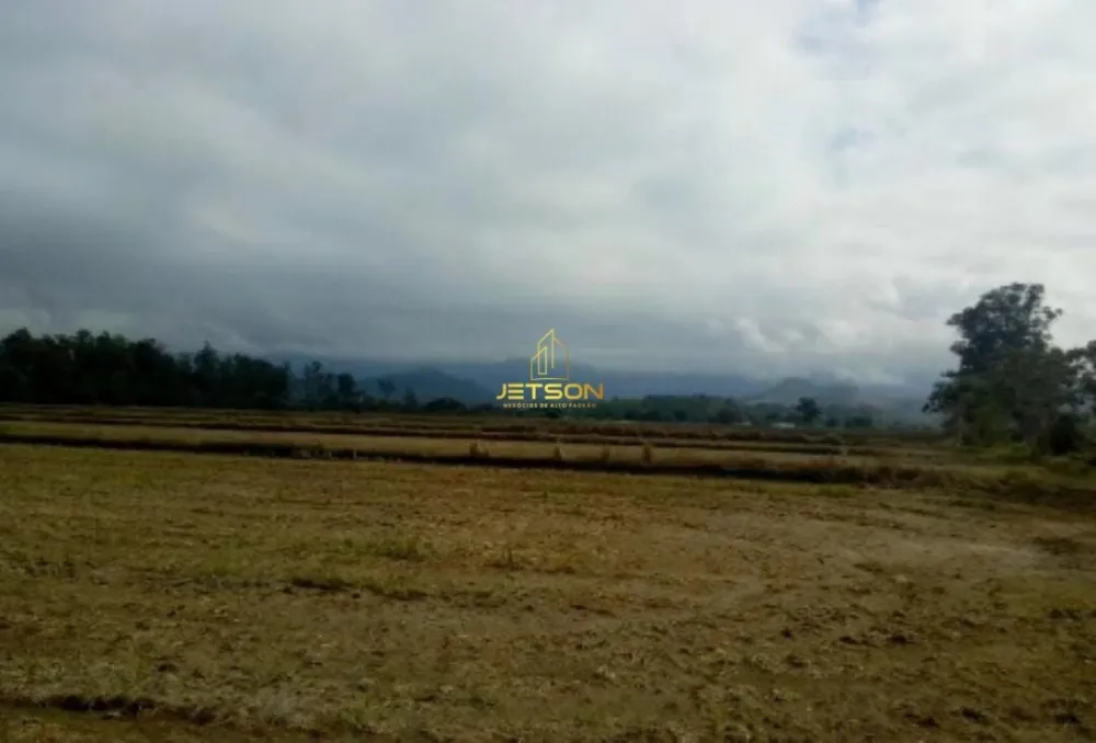Sítio, 36 hectares - Foto 6