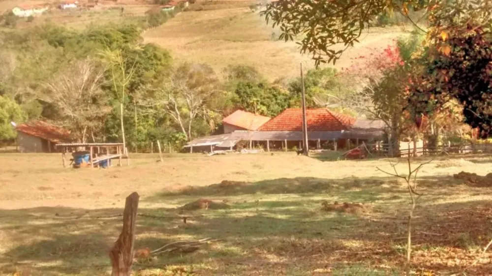 Sítio, 3 quartos, 3 hectares - Foto 8