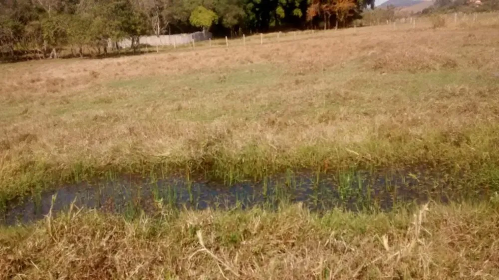 Sítio, 3 quartos, 3 hectares - Foto 4