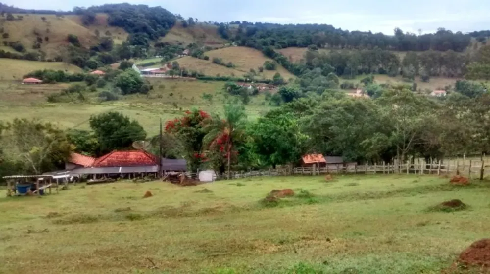 Sítio, 3 quartos, 3 hectares - Foto 3