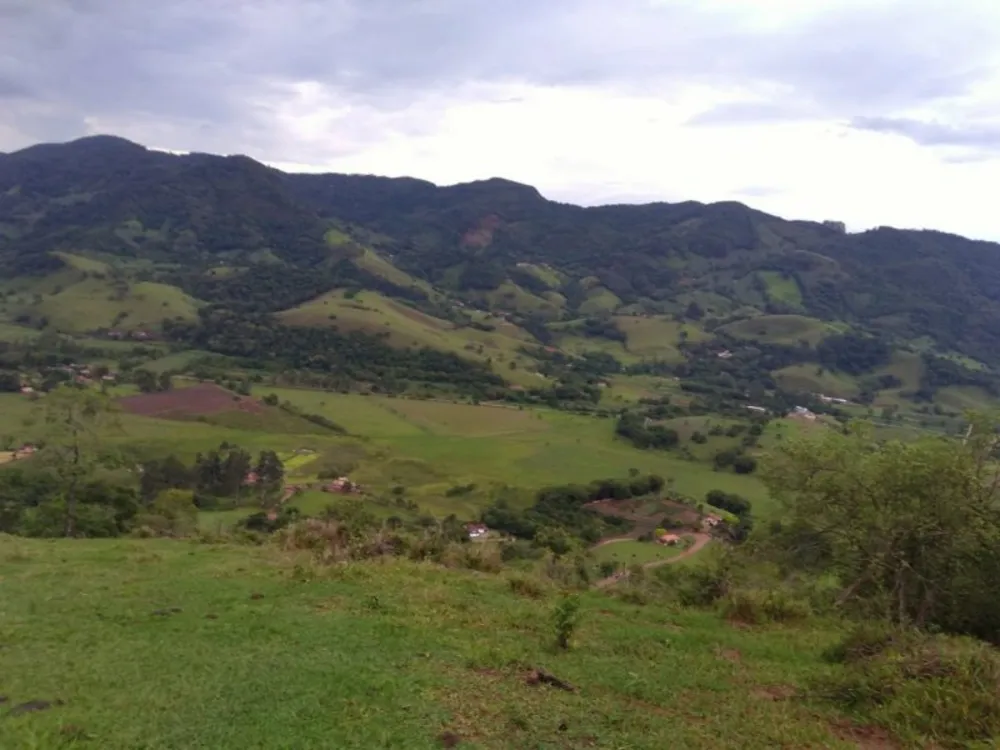 Terreno, 17 hectares - Foto 10