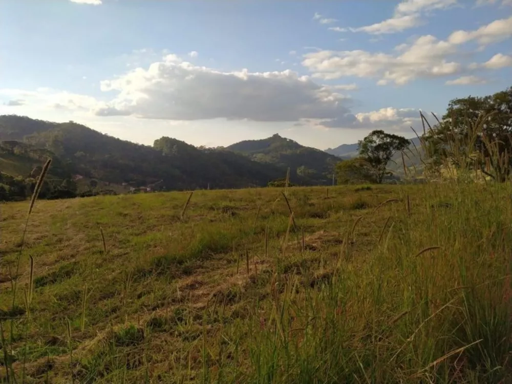Terreno, 17 hectares - Foto 2