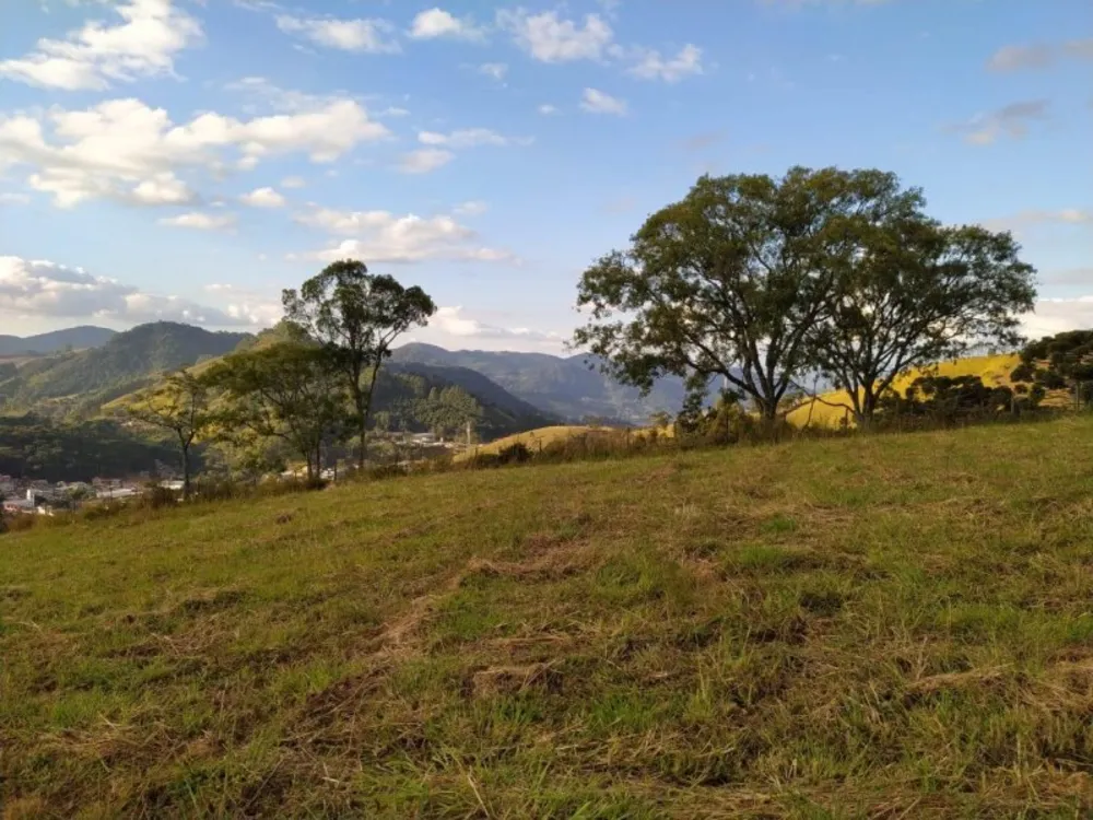Terreno, 17 hectares - Foto 11