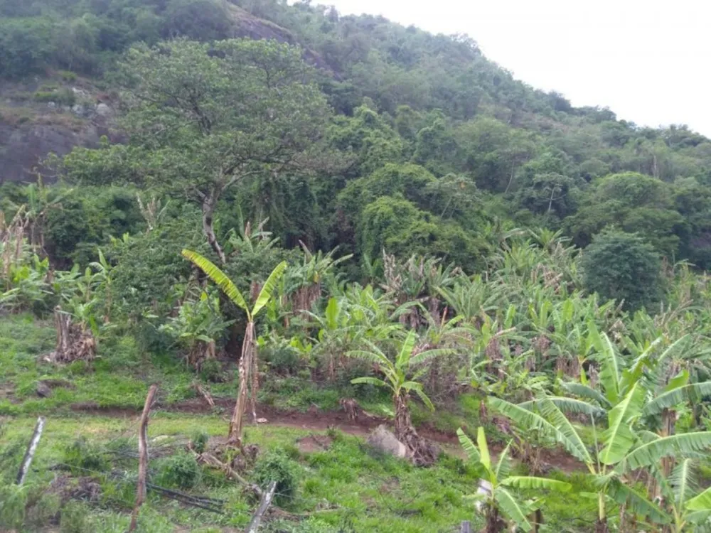 Terreno, 17 hectares - Foto 12