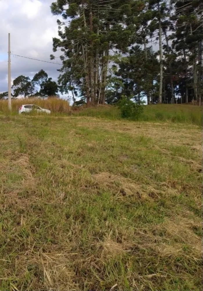 Terreno, 17 hectares - Foto 9