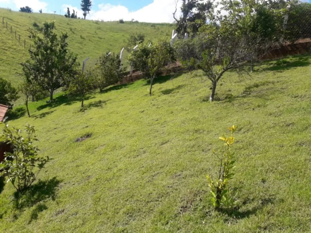Chácara, 2 quartos, 1000 m² - Foto 5