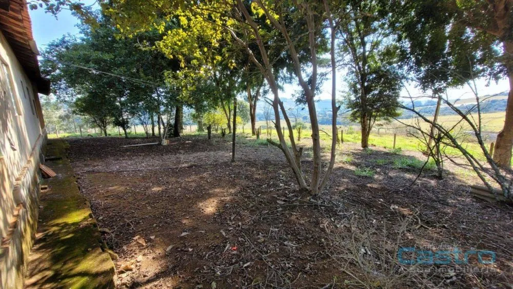 Sítio, 5 quartos, 169 m² - Foto 7