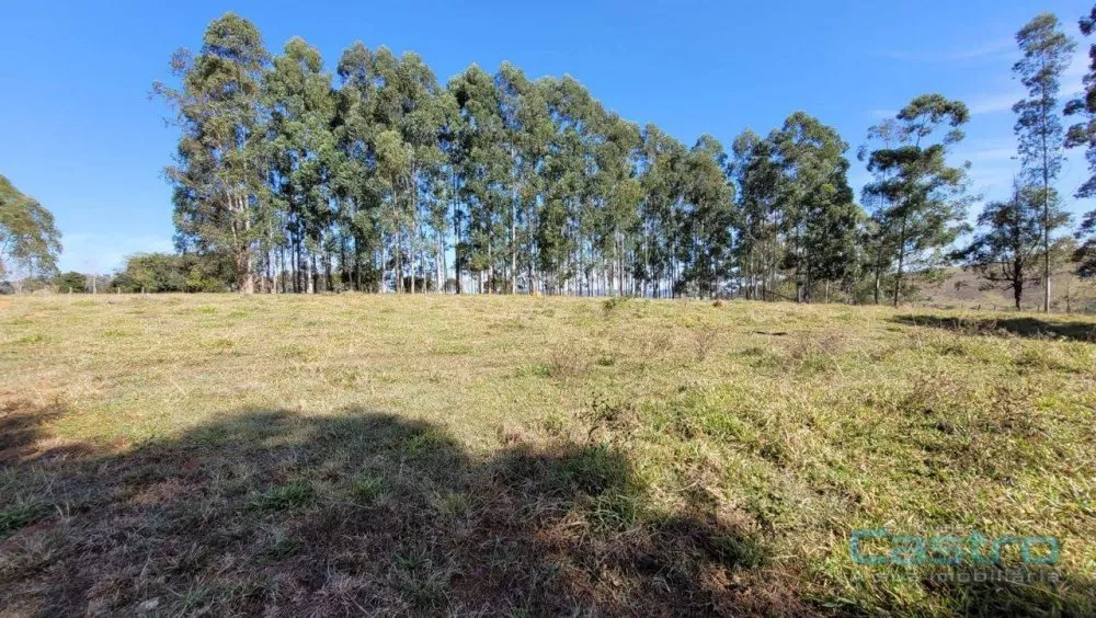 Sítio, 5 quartos, 169 m² - Foto 4