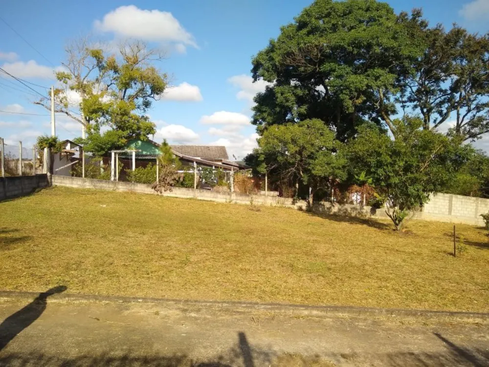 Chácara, 5 quartos, 100 m² - Foto 3