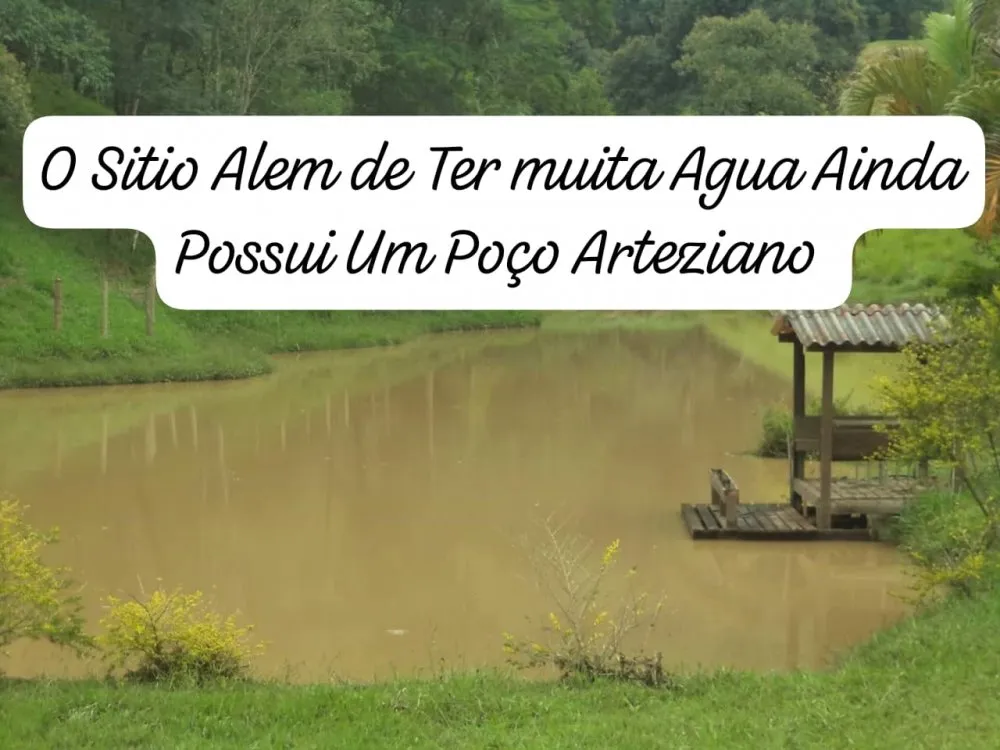 Sítio, 3 quartos, 6 hectares - Foto 5