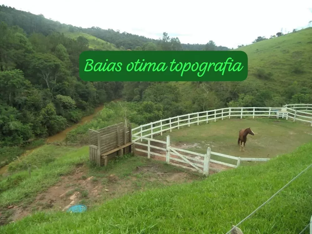 Sítio, 3 quartos, 6 hectares - Foto 1
