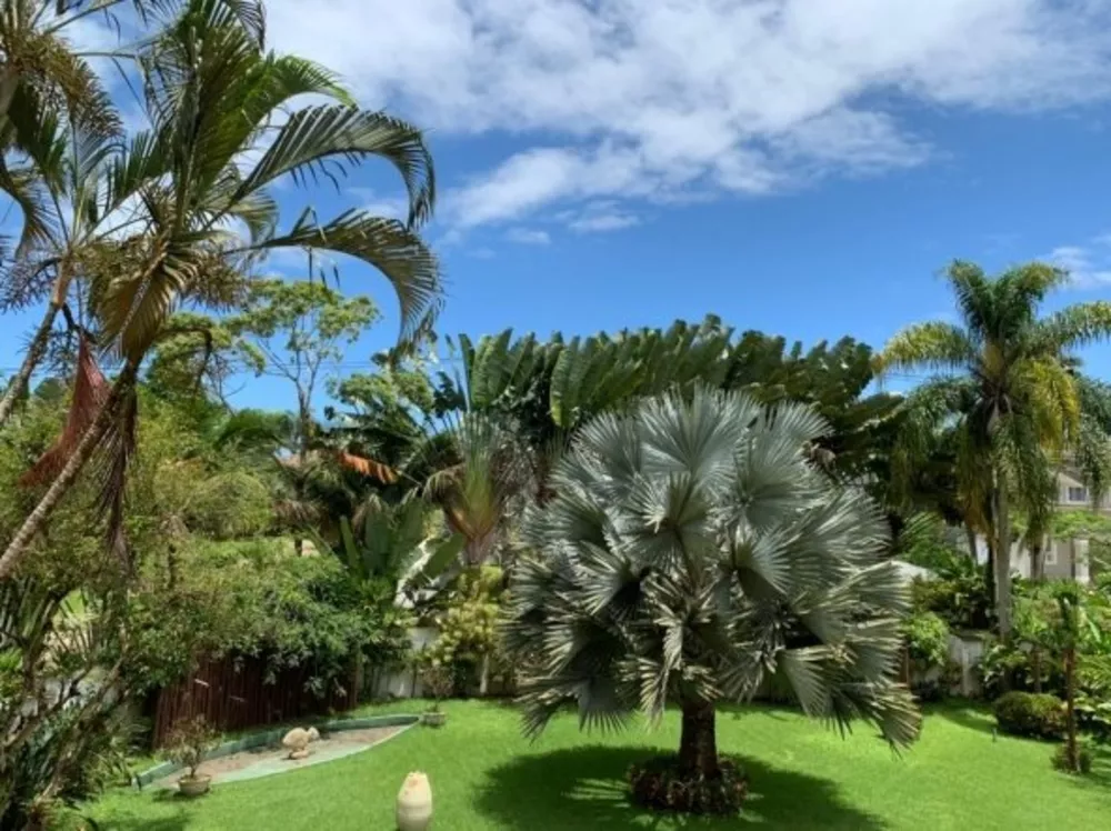 Sobrado, 5 quartos, 430 m² - Foto 4