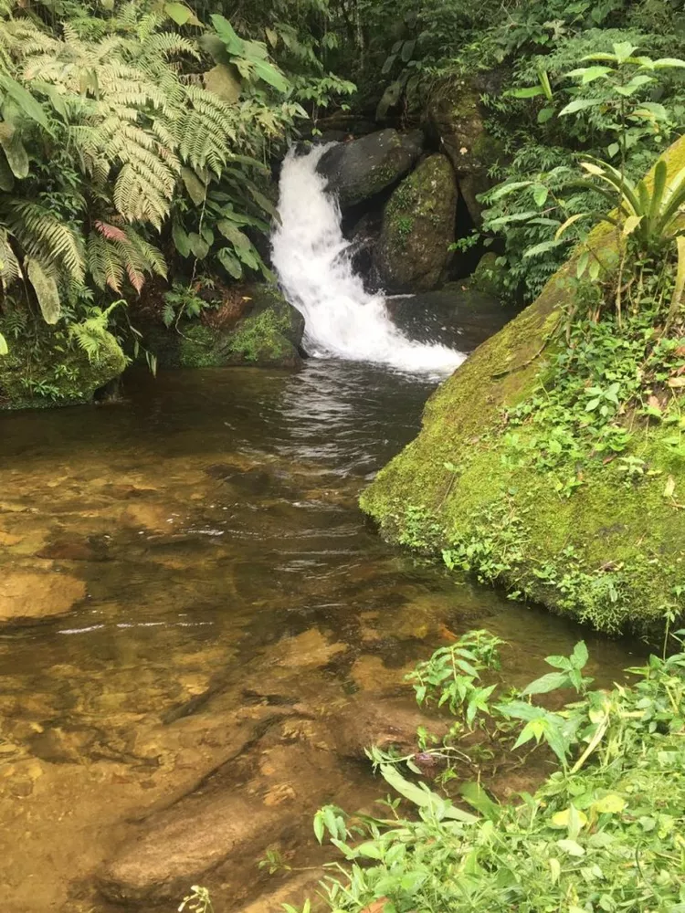 Sítio, 4 quartos, 9600 m² - Foto 2