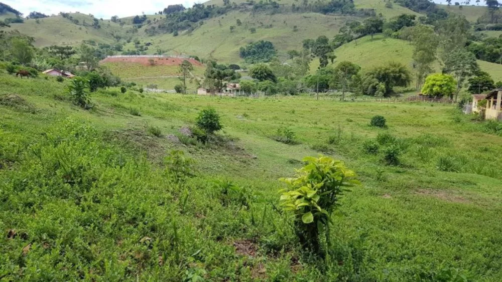 Sítio, 2 quartos, 30 hectares - Foto 3