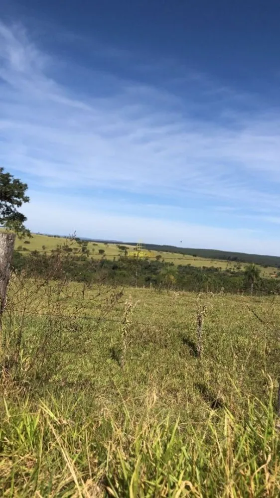 Fazenda, 19 hectares - Foto 4