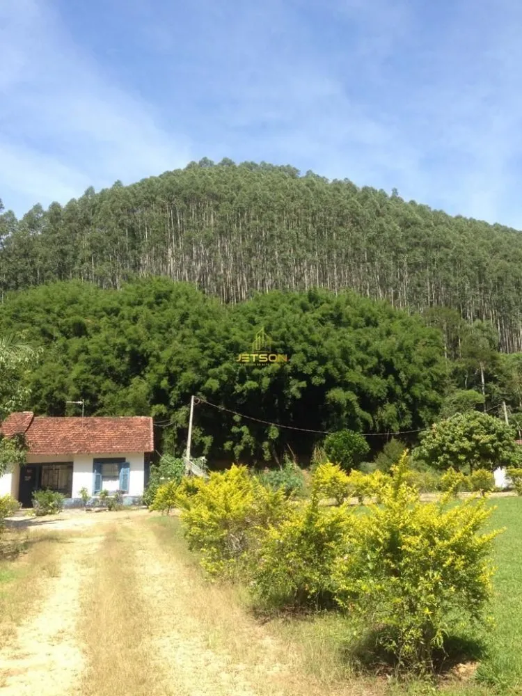 Fazenda, 2 hectares - Foto 3