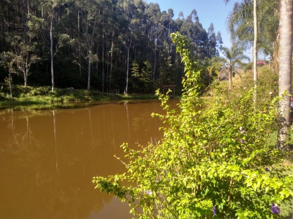 Fazenda à venda, 120m² - Foto 4