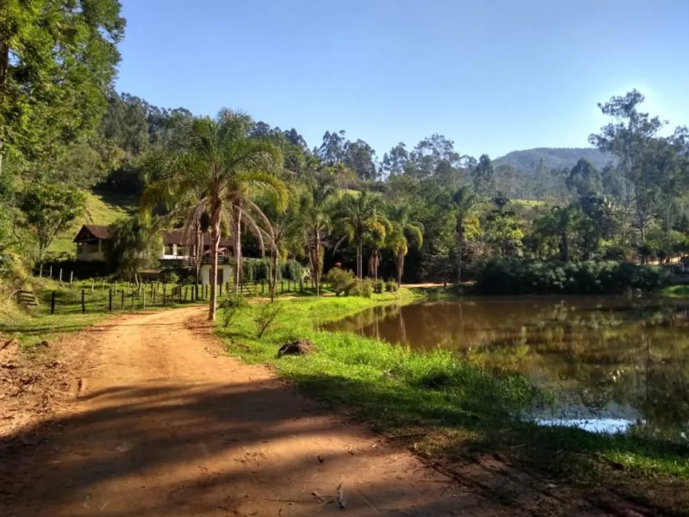 Fazenda, 303 hectares - Foto 1