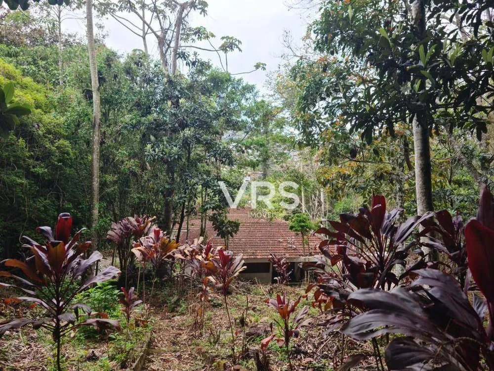 Terreno, 4 hectares - Foto 4