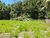 Terreno, 510 m² - Foto 3
