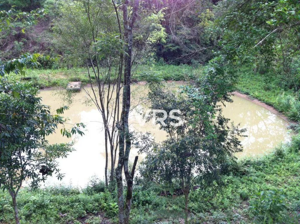 Fazenda, 22 hectares - Foto 8