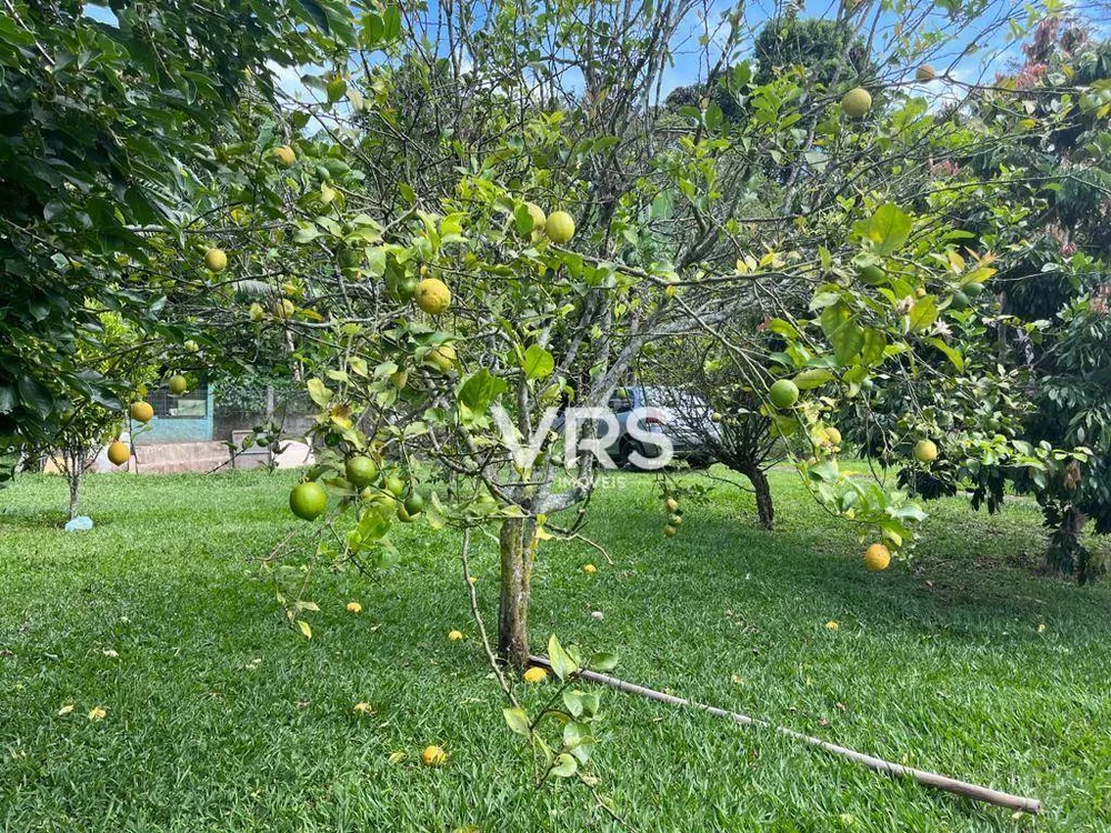 Casa, 10 quartos, 400 m² - Foto 40