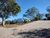Terreno, 200 m² - Foto 3