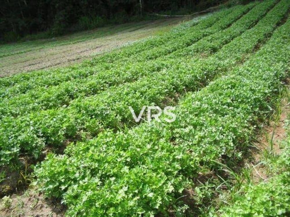 Fazenda à venda com 1 quarto, 476155M2 - Foto 2
